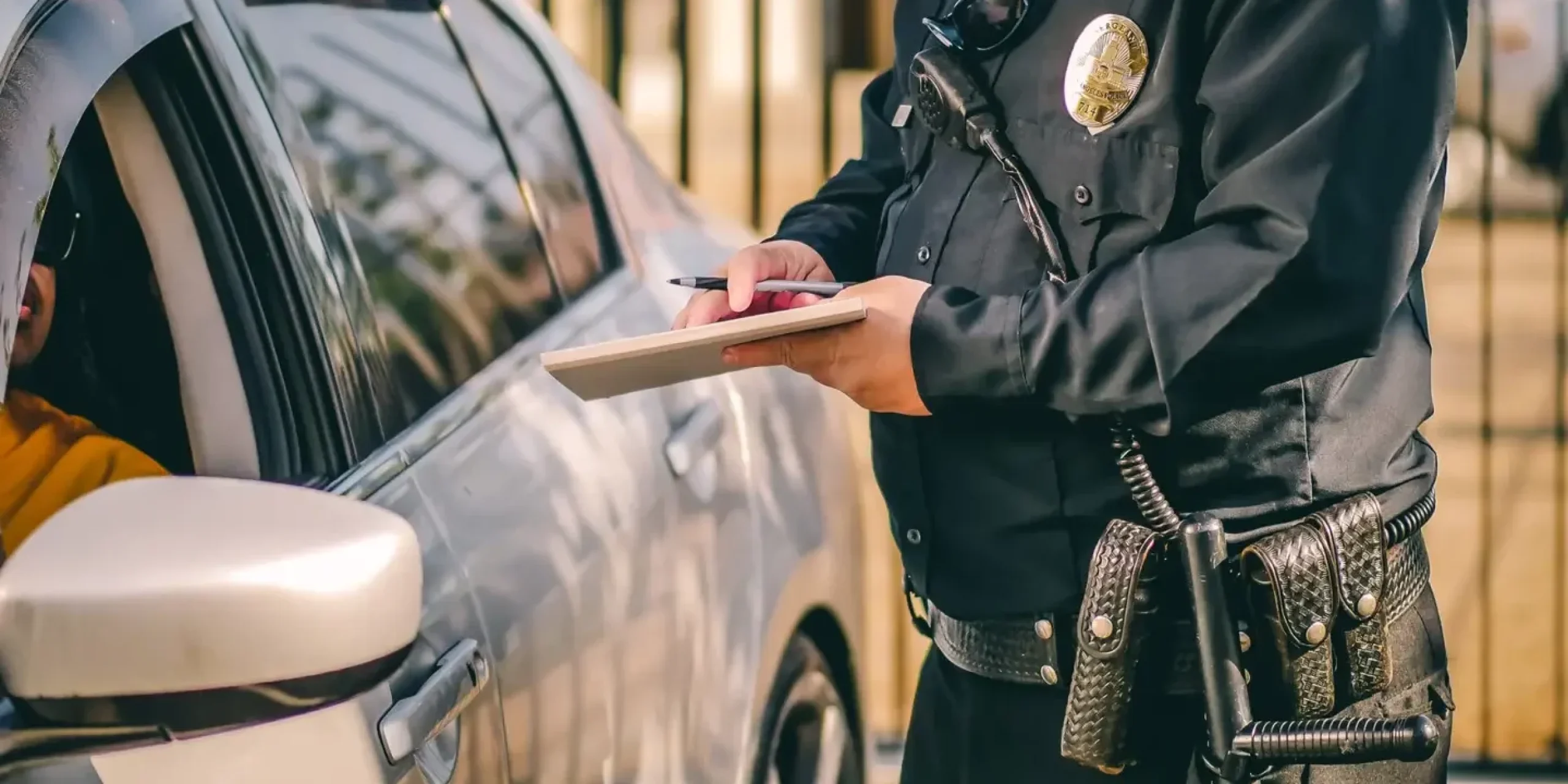 Adult Civil Citation Program